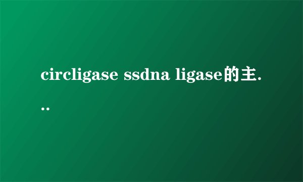 circligase ssdna ligase的主流品牌有哪些？
