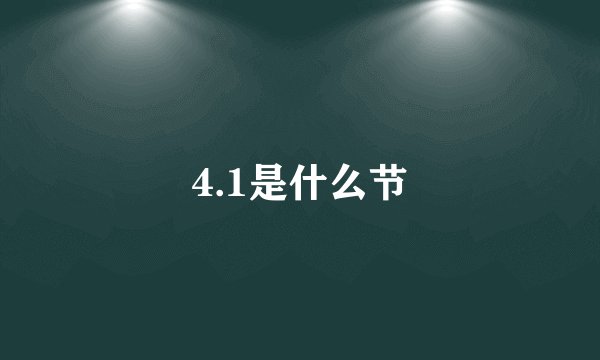 4.1是什么节