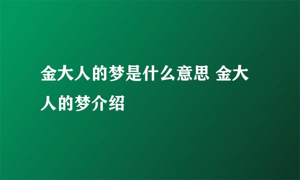 金大人的梦是什么意思 金大人的梦介绍
