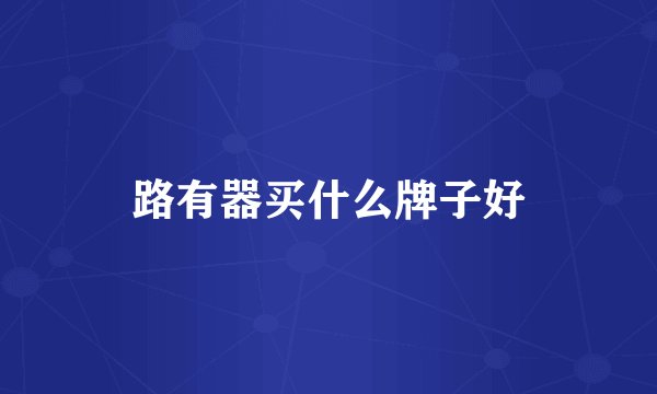 路有器买什么牌子好