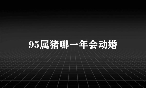 95属猪哪一年会动婚