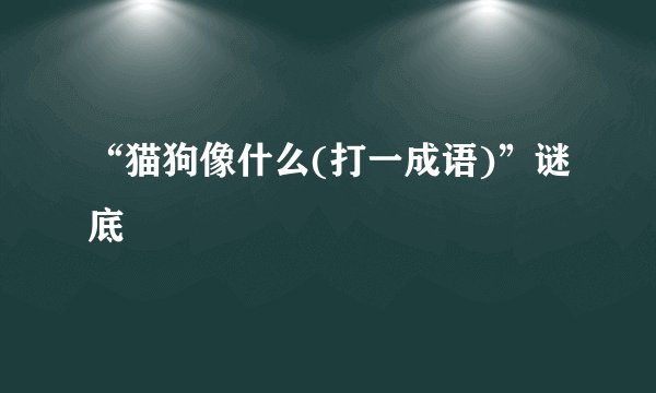 “猫狗像什么(打一成语)”谜底