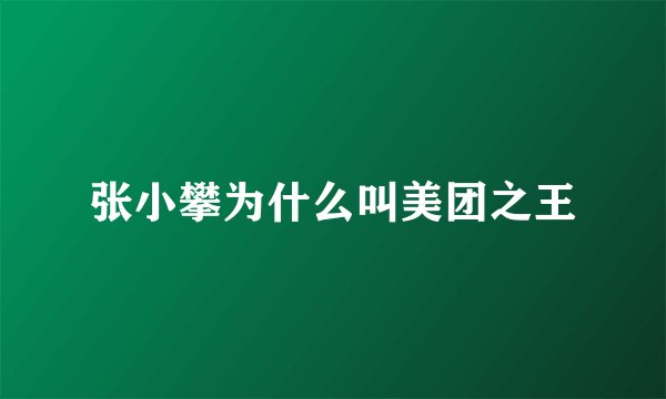 张小攀为什么叫美团之王