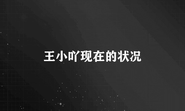王小吖现在的状况