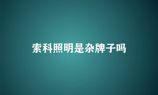 索科照明是杂牌子吗