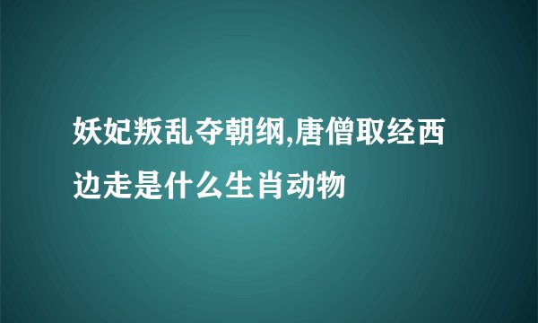 妖妃叛乱夺朝纲,唐僧取经西边走是什么生肖动物
