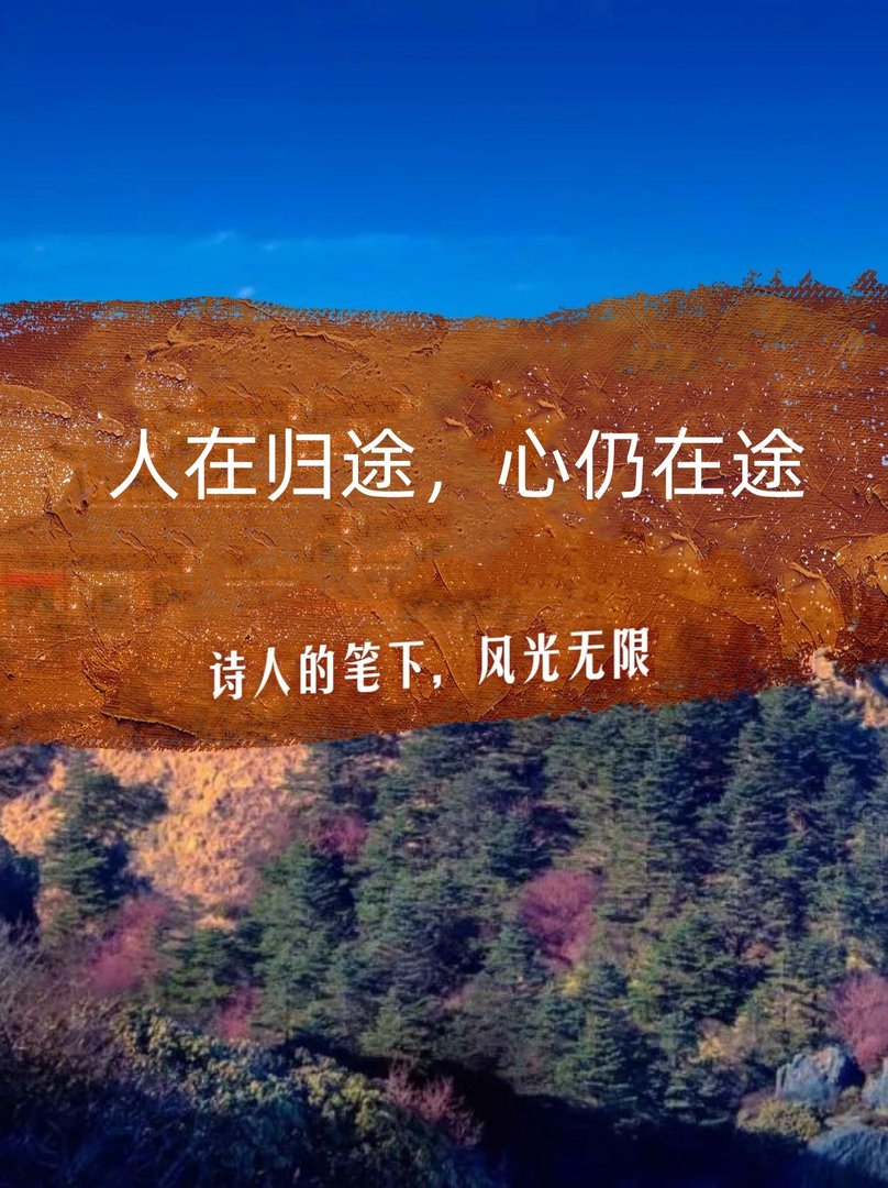 人在归途，心仍在途