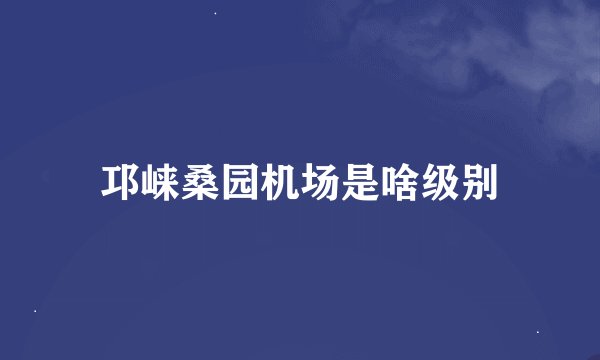 邛崃桑园机场是啥级别