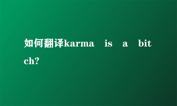 如何翻译karma is a bitch?