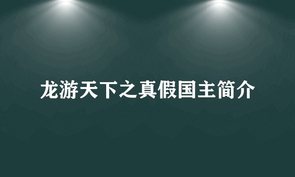 龙游天下之真假国主简介