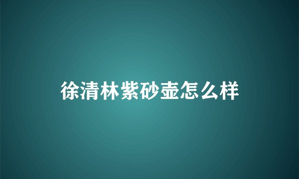徐清林紫砂壶怎么样