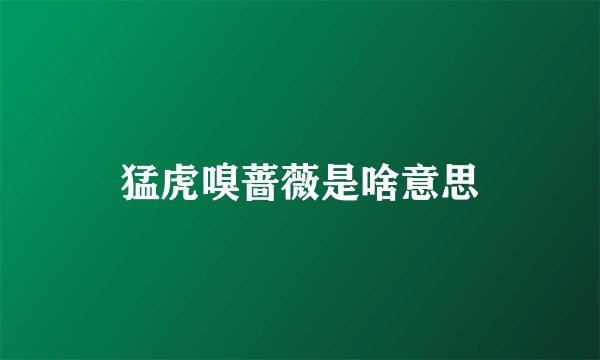 猛虎嗅蔷薇是啥意思
