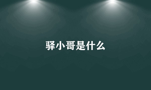 驿小哥是什么