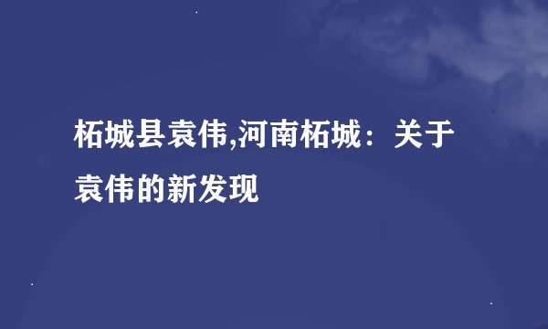 柘城县袁伟,河南柘城：关于袁伟的新发现