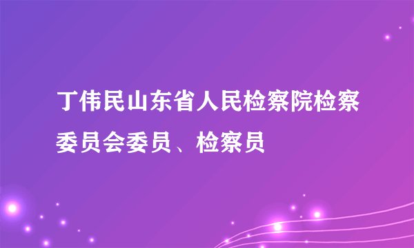 丁伟民山东省人民检察院检察委员会委员、检察员