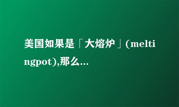 美国如果是「大熔炉」(meltingpot),那么什么是炉子里的干