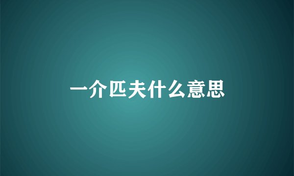 一介匹夫什么意思