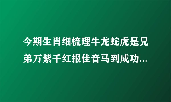 今期生肖细梳理牛龙蛇虎是兄弟万紫千红报佳音马到成功万里程是什么
