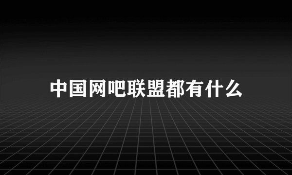 中国网吧联盟都有什么