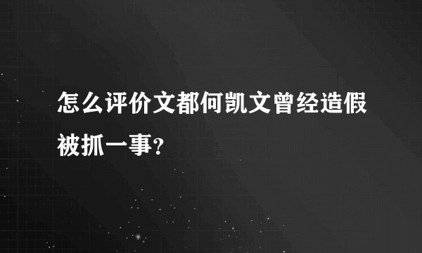 怎么评价文都何凯文曾经造假被抓一事？