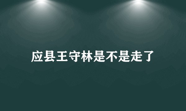 应县王守林是不是走了