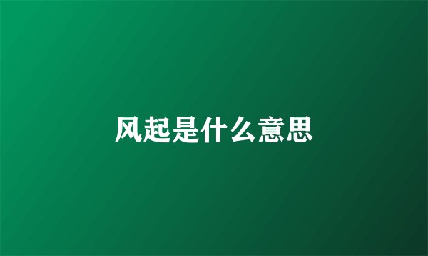 风起是什么意思