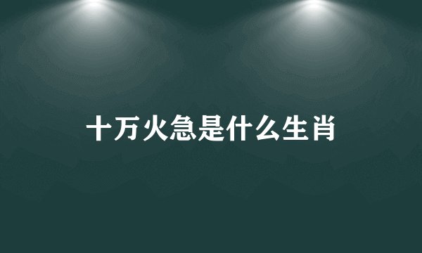 十万火急是什么生肖
