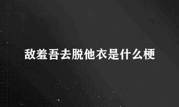 敌羞吾去脱他衣是什么梗