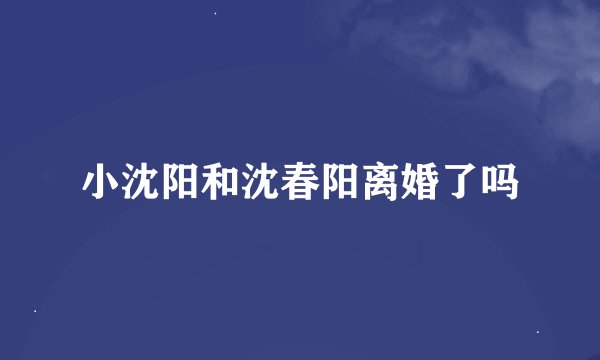 小沈阳和沈春阳离婚了吗