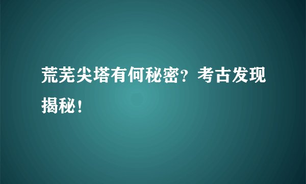 荒芜尖塔有何秘密？考古发现揭秘！