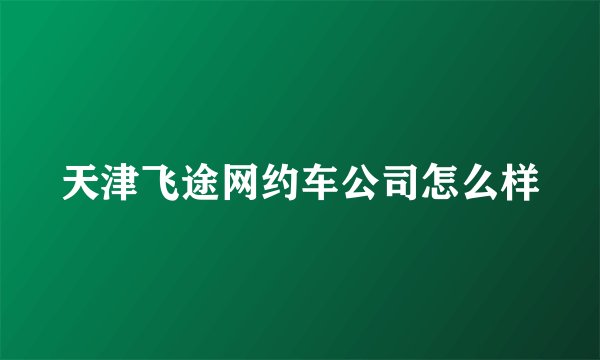 天津飞途网约车公司怎么样