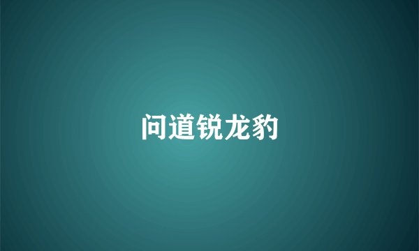 问道锐龙豹