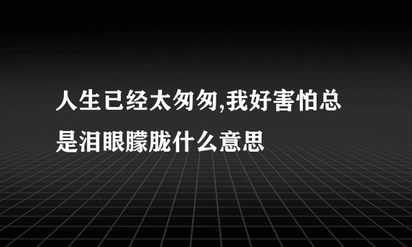 人生已经太匆匆,我好害怕总是泪眼朦胧什么意思