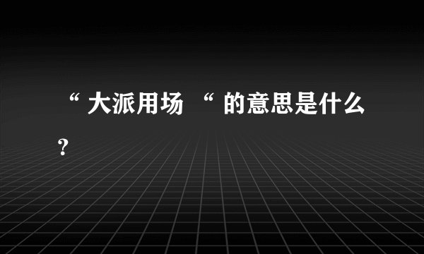 “ 大派用场 “ 的意思是什么？