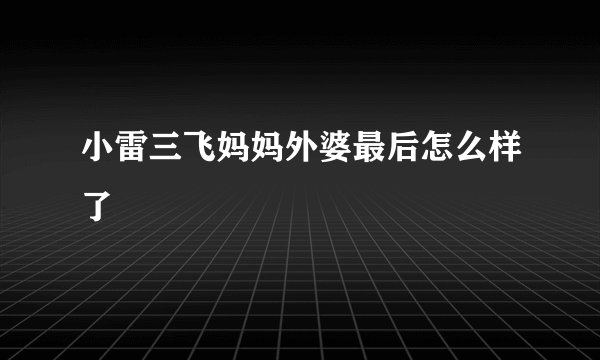 小雷三飞妈妈外婆最后怎么样了