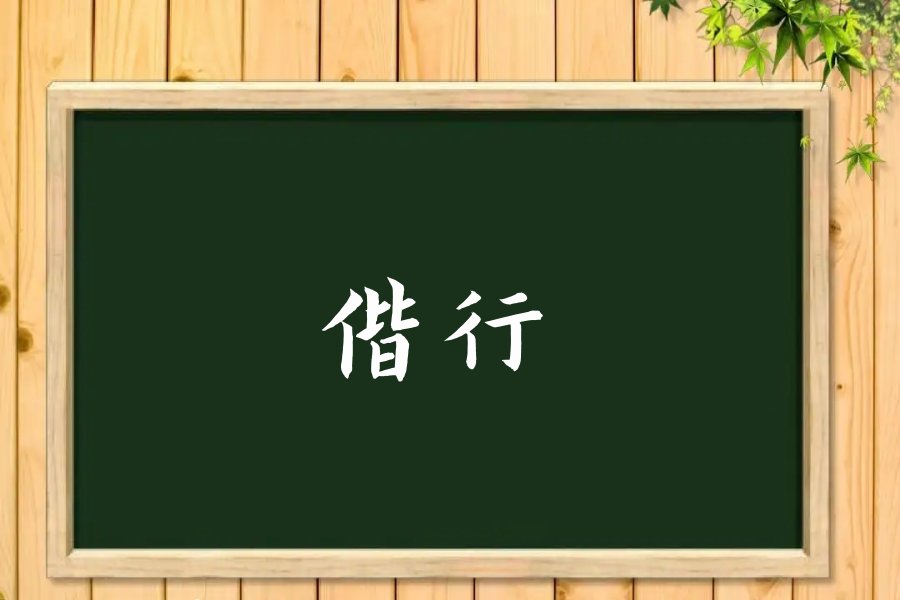 偕行是什么意思