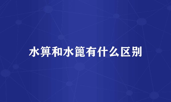 水箅和水篦有什么区别