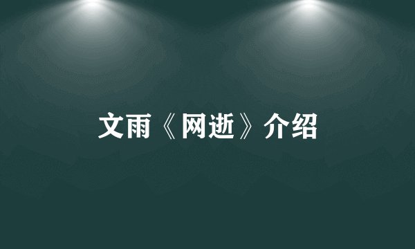 文雨《网逝》介绍
