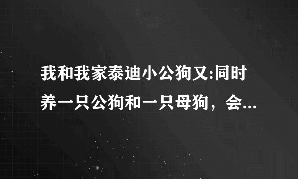我和我家泰迪小公狗又:同时养一只公狗和一只母狗，会有问题吗？