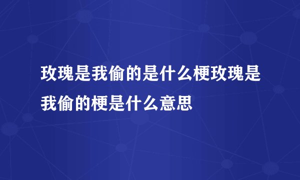 玫瑰是我偷的是什么梗玫瑰是我偷的梗是什么意思