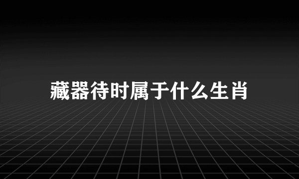 藏器待时属于什么生肖