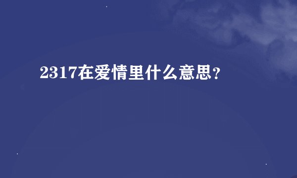 2317在爱情里什么意思？