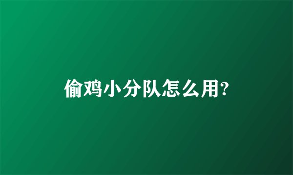 偷鸡小分队怎么用?