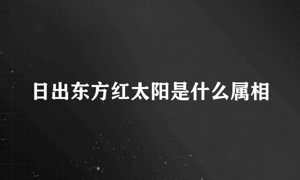 日出东方红太阳是什么属相