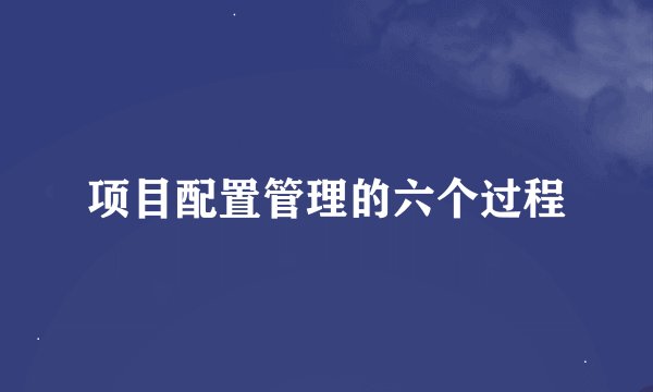 项目配置管理的六个过程