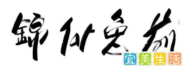 傅继英书法：前兔似锦(前途似锦)