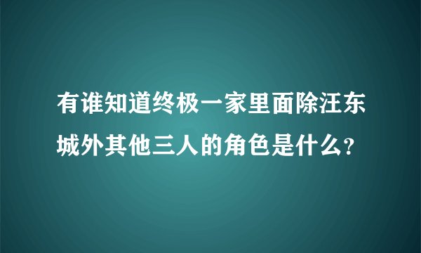 有谁知道终极一家里面除汪东城外其他三人的角色是什么？