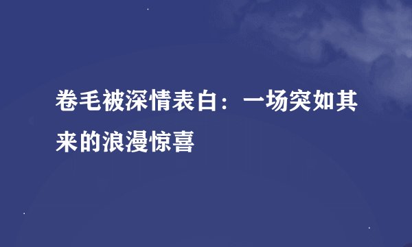 卷毛被深情表白：一场突如其来的浪漫惊喜