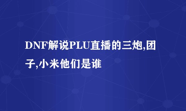DNF解说PLU直播的三炮,团子,小米他们是谁