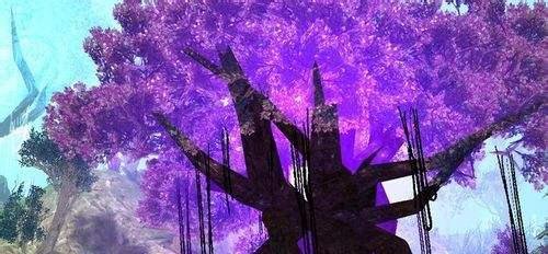 《兵王OL》新手入门攻略